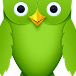 Duolingo: Learn Languages.3.32.1 – اپلیکیشن آموزش زبان برای اندروید